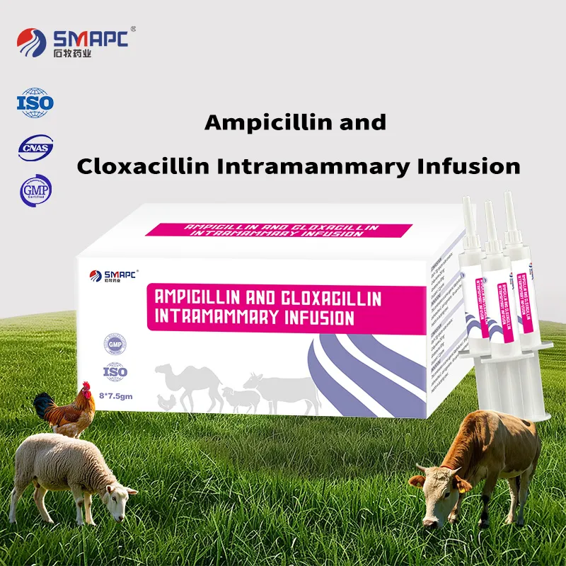 Ampicillin and Cloxacillin Intramammary Infusion