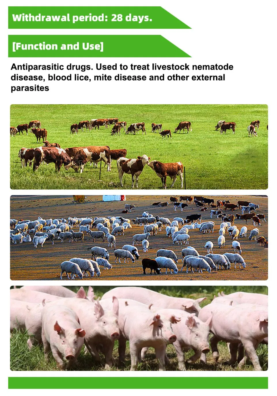 OEM 1% Doramectin Injection External and Internal Parasite Treat and Prevent