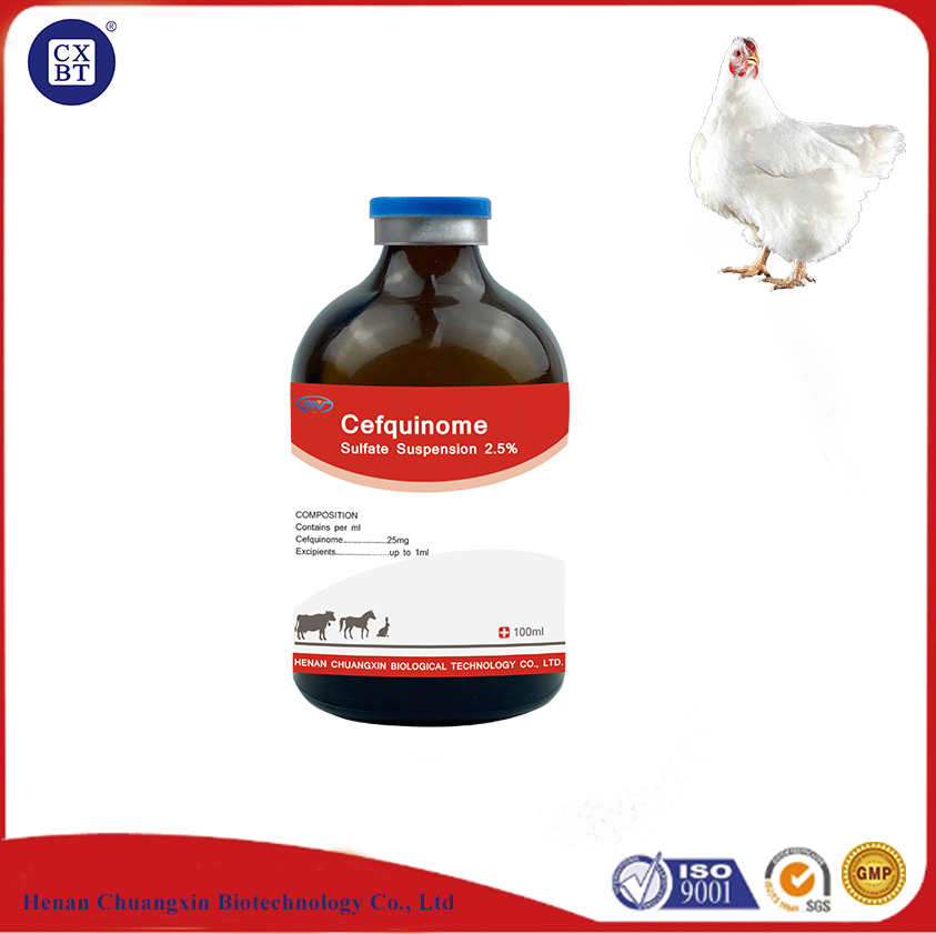 Easy - to - Administer 2.5% Cefquinome Sulfate Suspension Injection for Livestock