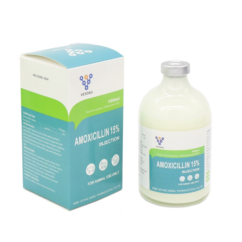 Veterinary Medicine Antibiotic 15% Amoxicillin Injection Suspension GMP Certificate for Cattle Sheep Drugs