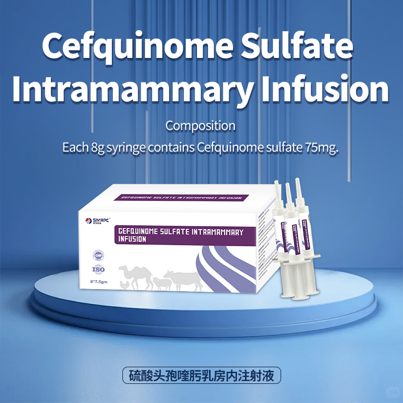 Ampicillin and Cloxacillin Intramammary Infusion by GMP ISO Factory