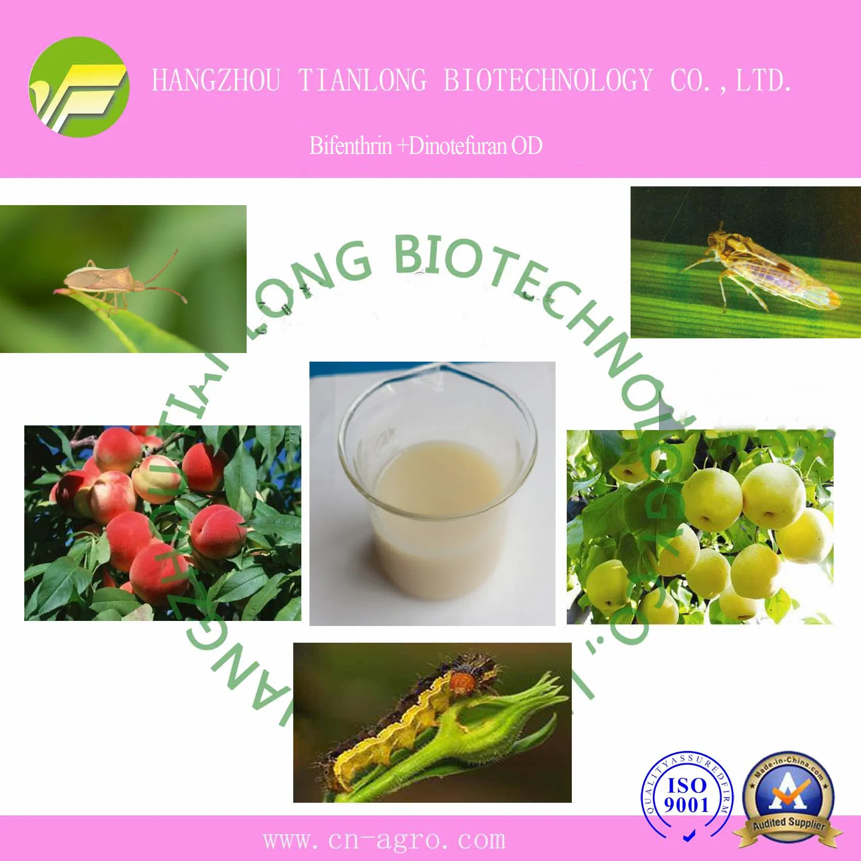 Bifenthrin 6%+Dinotefuran 9%OD-Bifenthrin +Dinotefuran(6%+ 9%) Insecticide Mixture