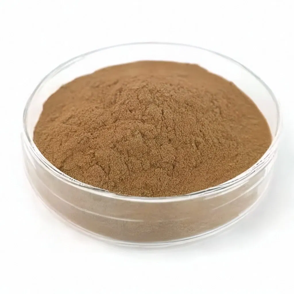 Hight Quality Astragalus Root Extract Astragalus Traditional Chinese Herbal Medicine Slices Astragalus Herbal Extracts