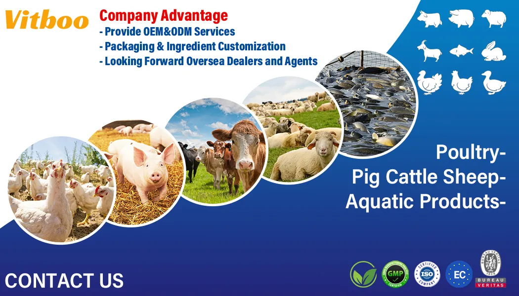 Poultry Vitamin Ad3e Oral Solution