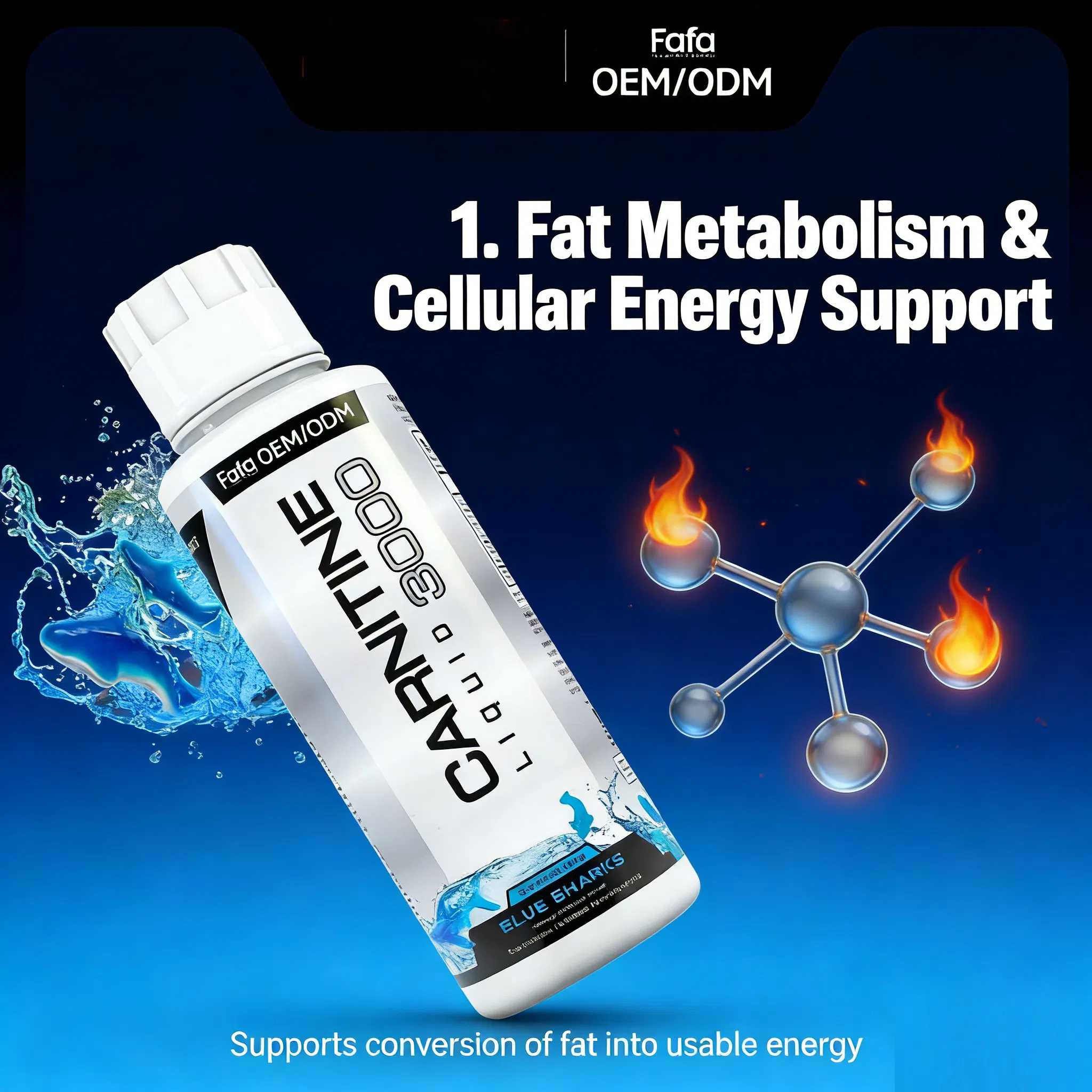 Vitamin Support Drops: L-Carnitine and Herbal Extract Oral Liquid