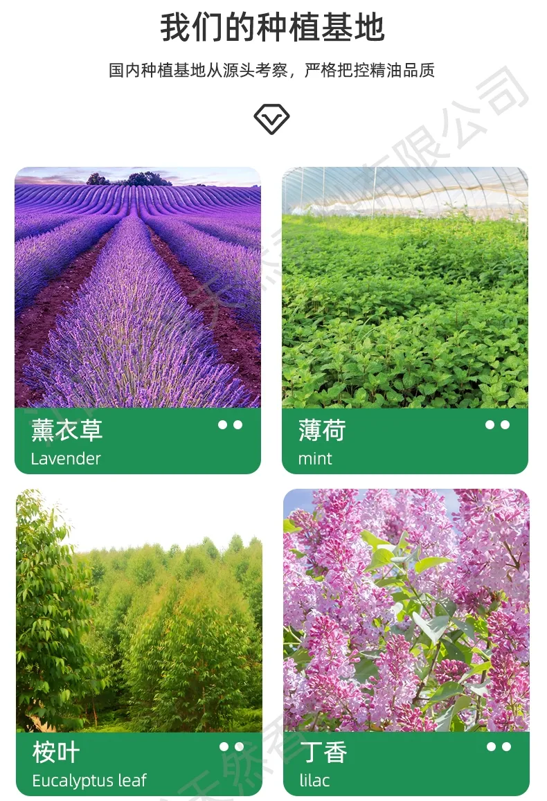 Production Process 2