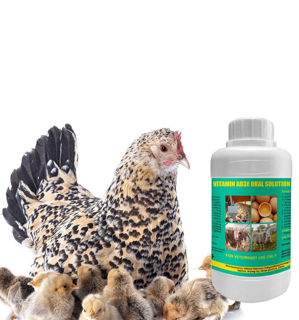 Poultry Vitamin Growth Powder Vitamin Ad3e Oral Solution, Multivitamin Liquid for Animals Immunity