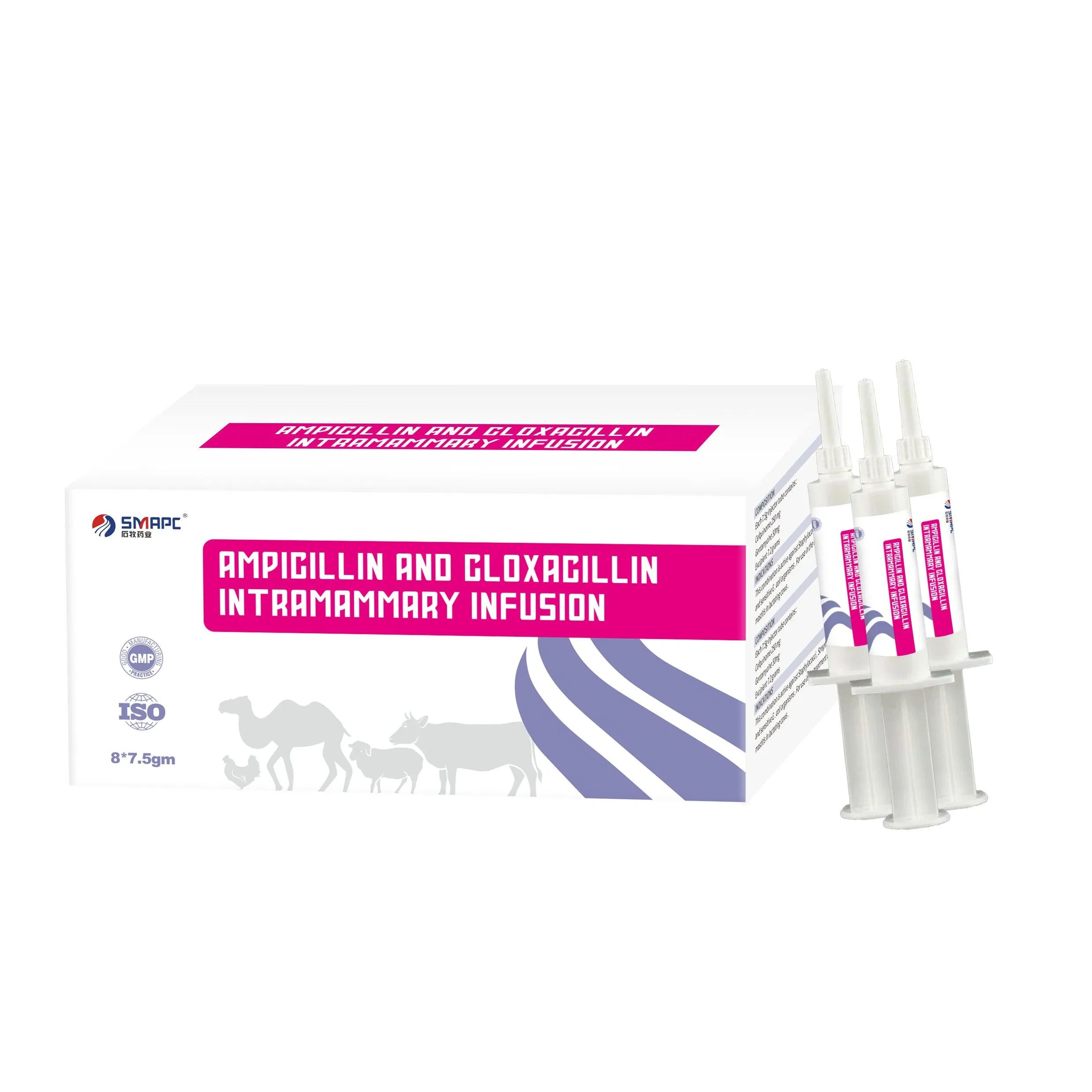 Ampicillin and Cloxacillin Intramammary Infusion by GMP ISO Factory