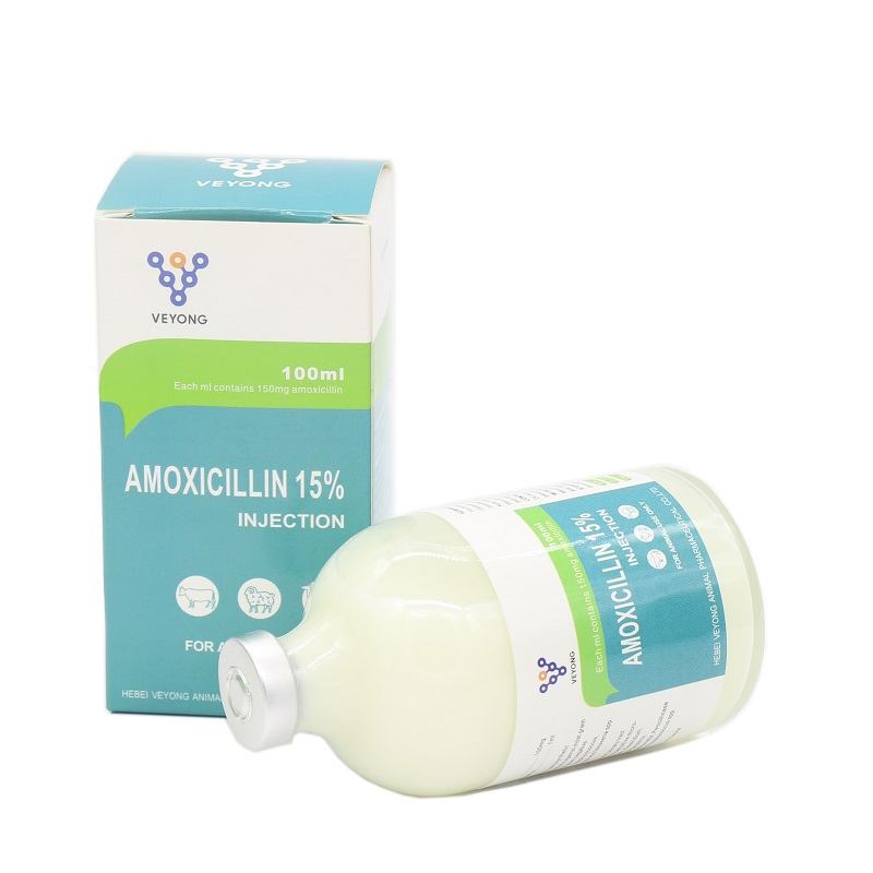 Veterinary Medicine Antibiotic 15% Amoxicillin Injection Suspension GMP Certificate for Cattle Sheep Drugs