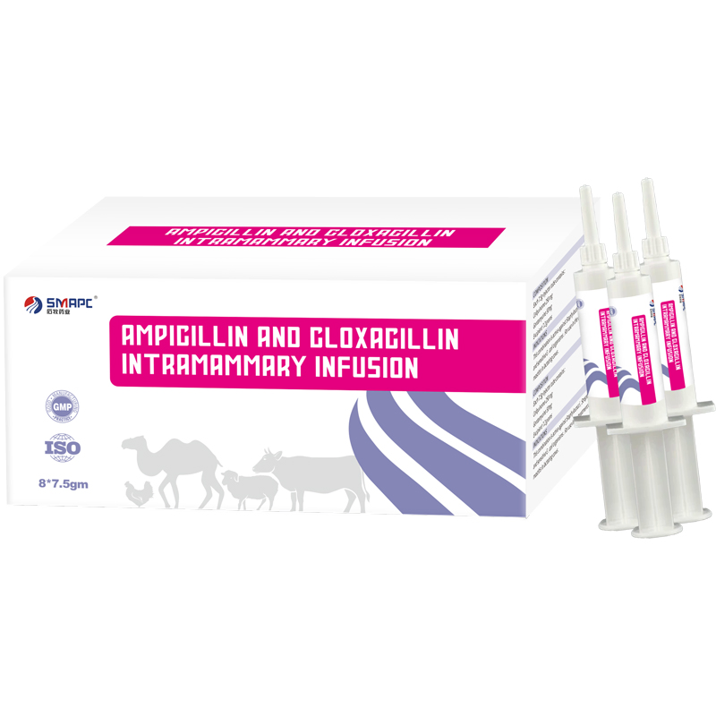 Cefquinome Sulfate Intramammary Infusion Ampicillin and Cloxacillin Intramammary Infusion