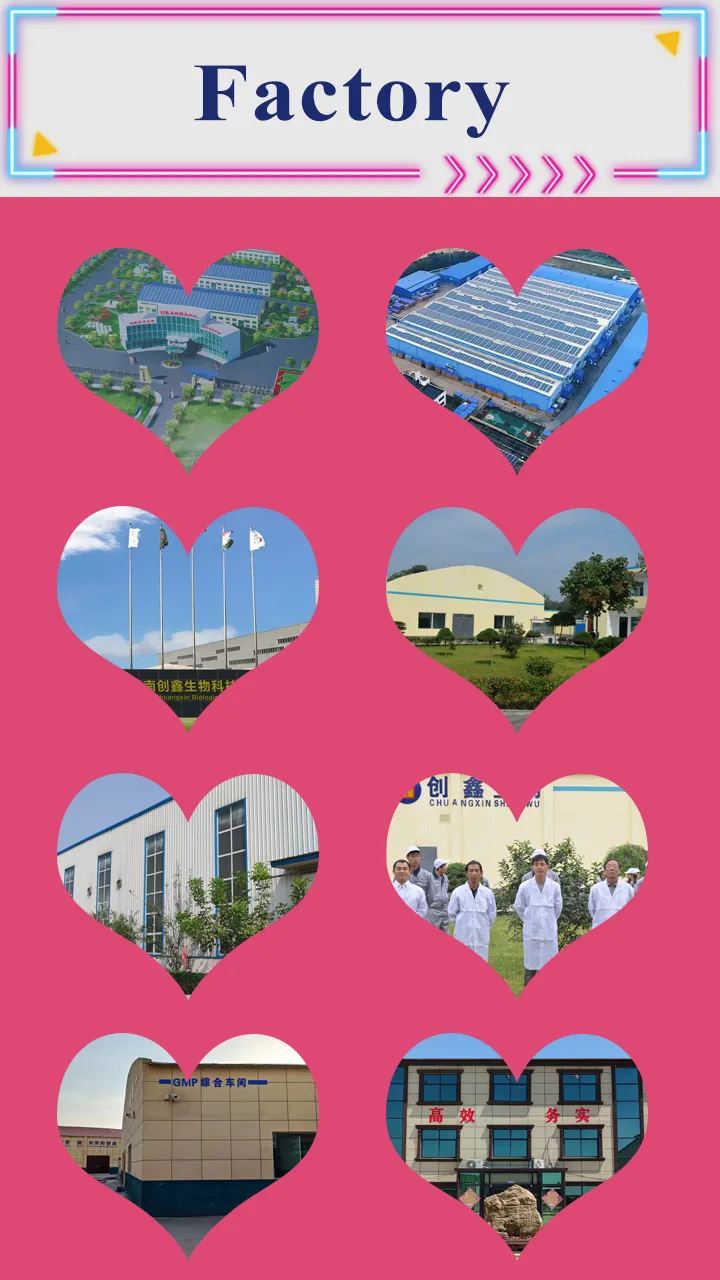 Quality Veterinary Drug