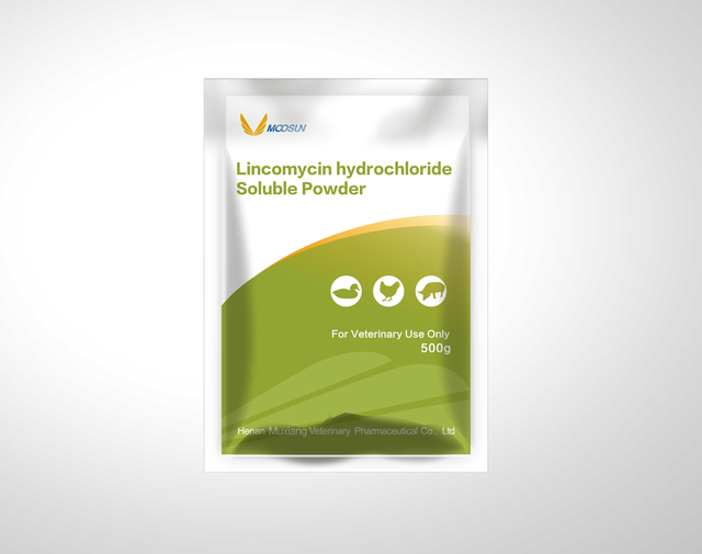 10% Lincomycin Hydrochloride Soluble Powder for Treatment of Bacteria Infection