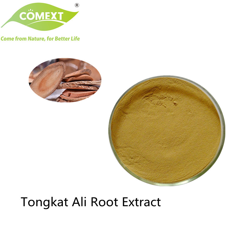 Comext Factory Natural Plant Extracts Tongkat Ali Root Herbal Medicine