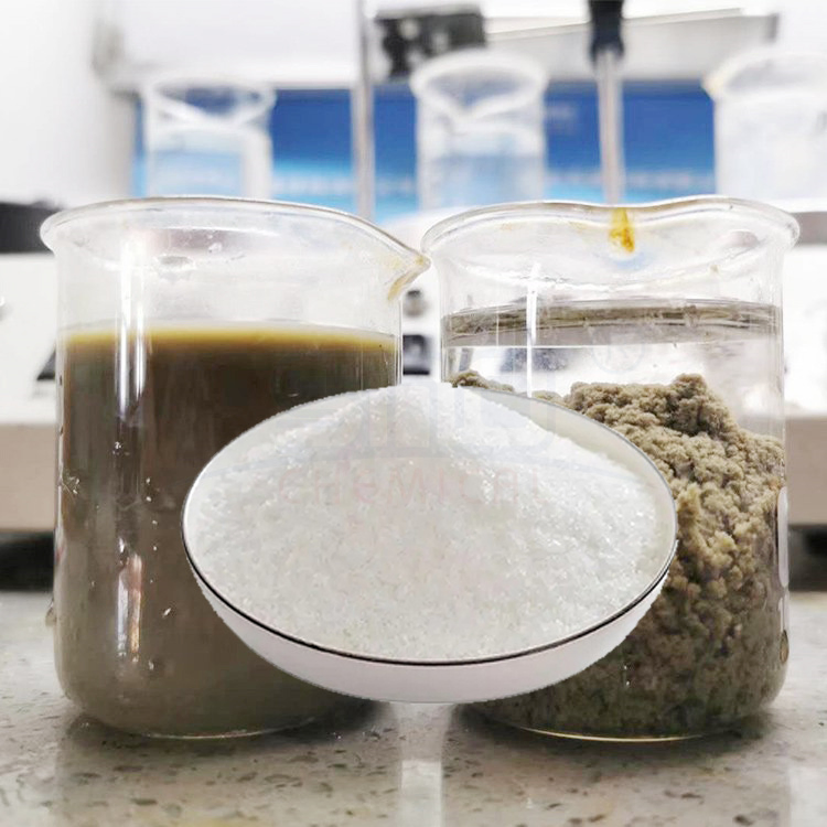 Factory Price Waste Water Treatment Flocculant Chemical Anionie Polyacrylamide PAM
