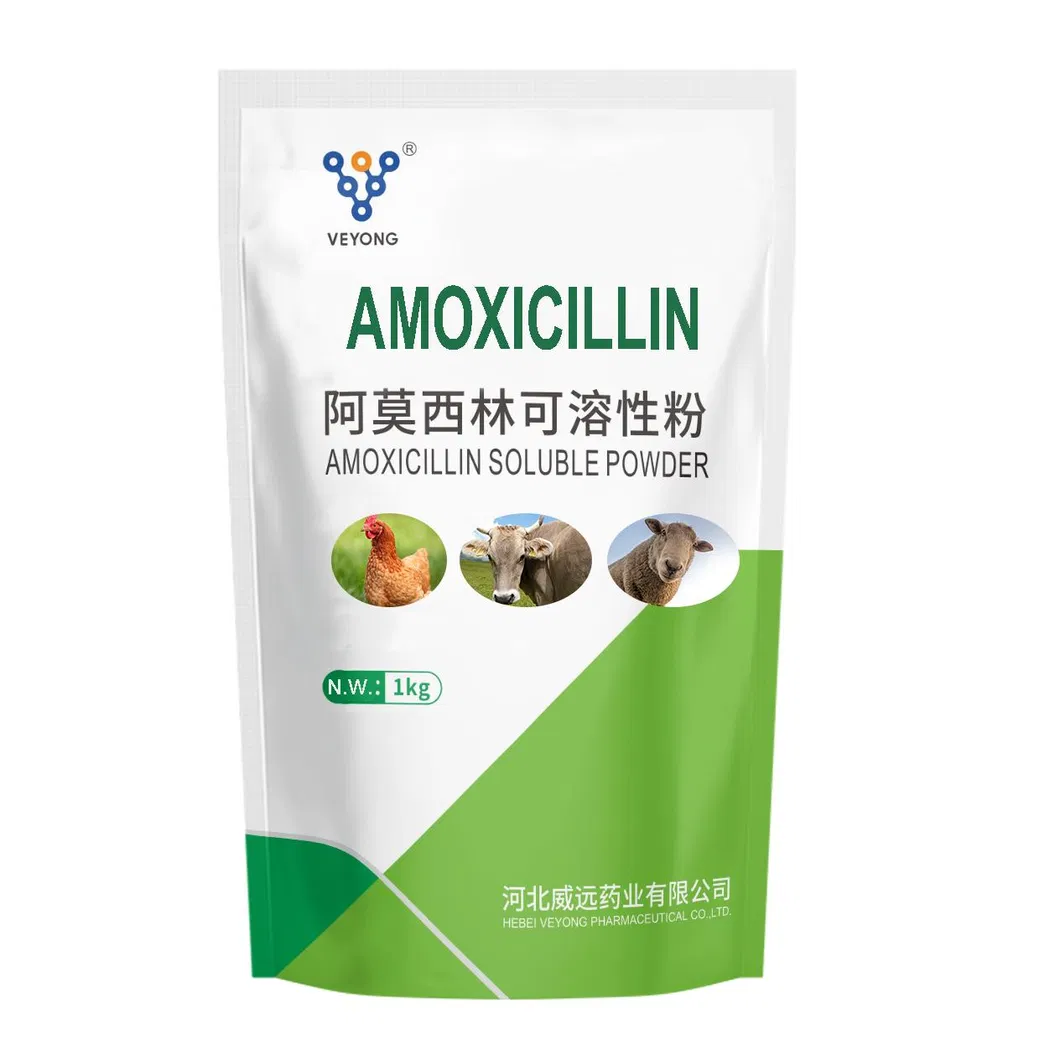 Amoxicillin Soluble Powder