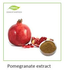 Pomegranate Extract