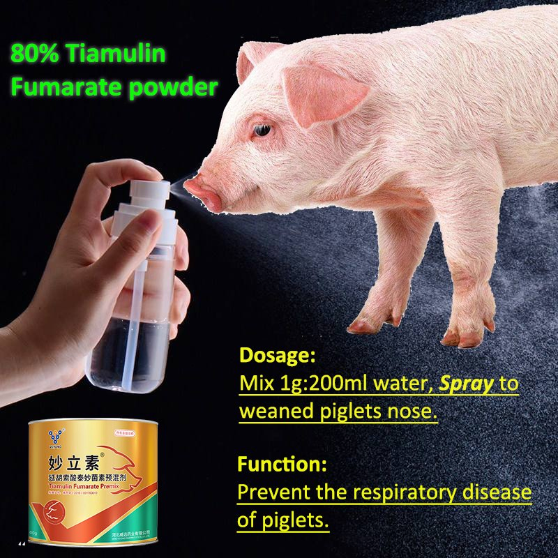 Tiamulin Hydrogen Famarate Premix CAS55297-96-6 with GMP