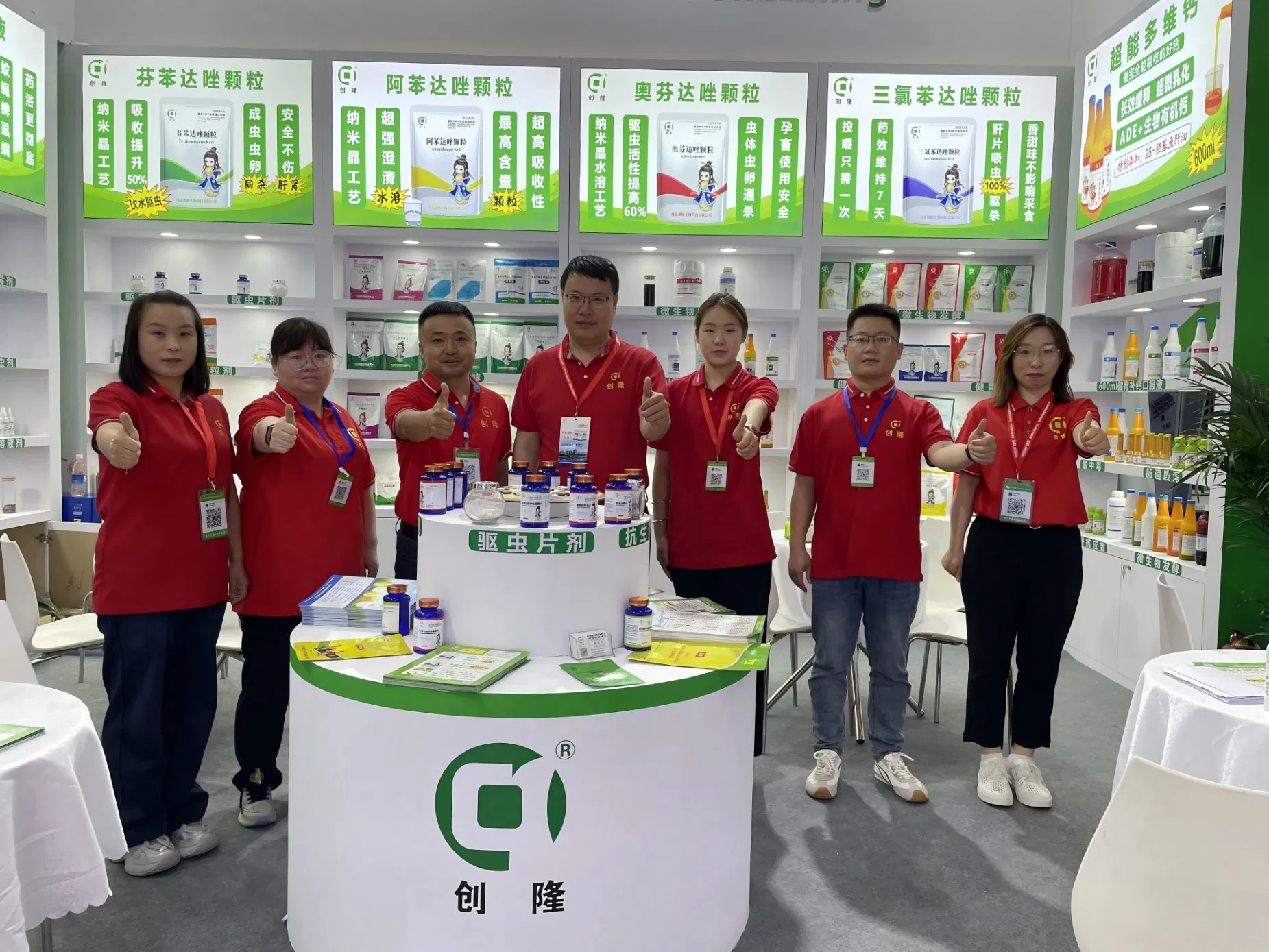 Amoxicillin Bolus Antibacterial Solution for Systemic Infections in Pets