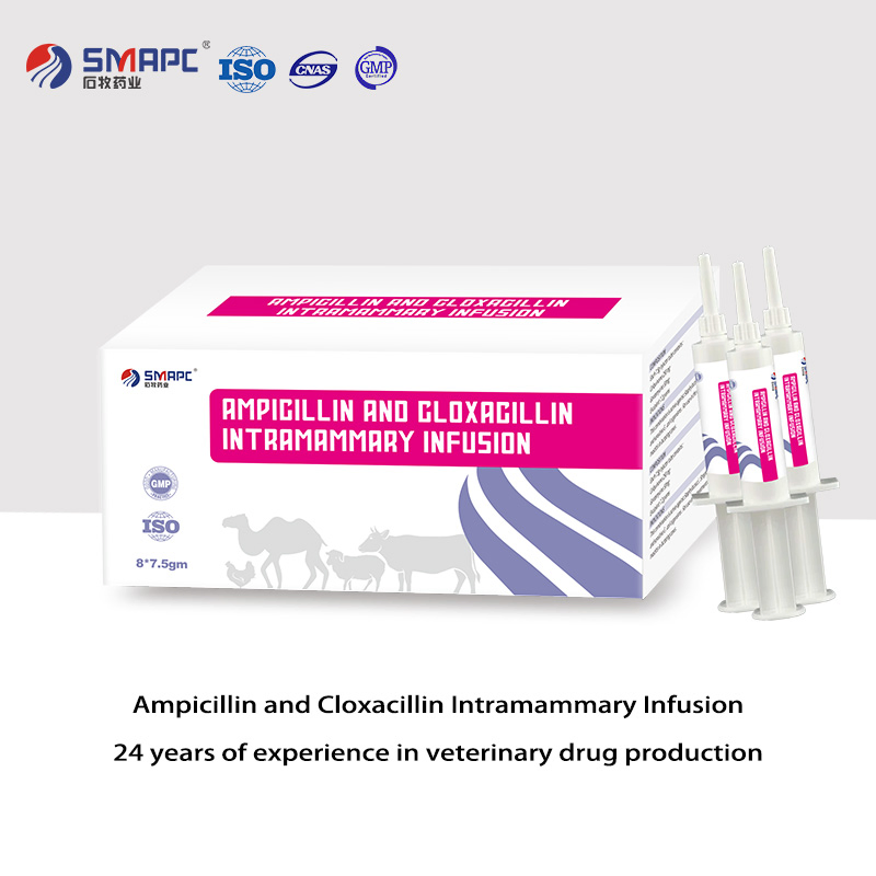 Manufacturer Wholesale Ampicillin and Cloxacillin Intramammary Infusion