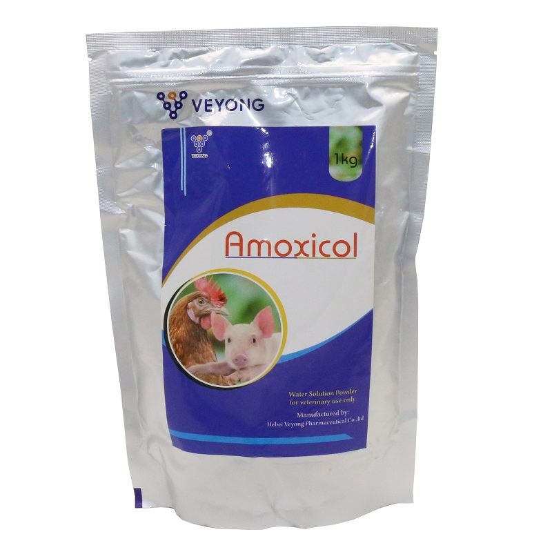 Mixing with Water Amoxicillin Soluble Powder for Veterinary Use Amoxicillin Trihydrate Powder for Chicken Cattle Cow Sheep