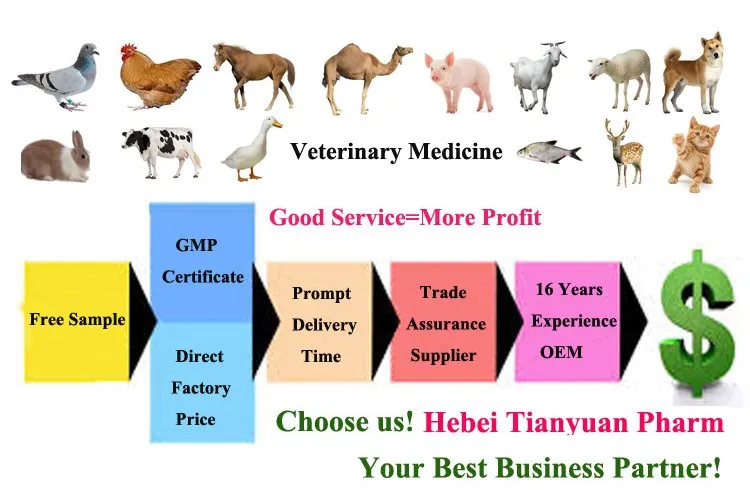 Veterinary Medicine Factory