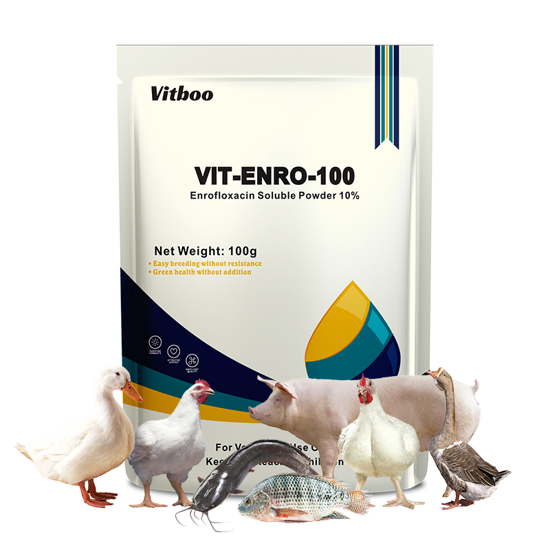 Custom Bag Enrofloxacine 20% Oral Liquid Against Gastrointestinal Infections in Calves Goats Swine