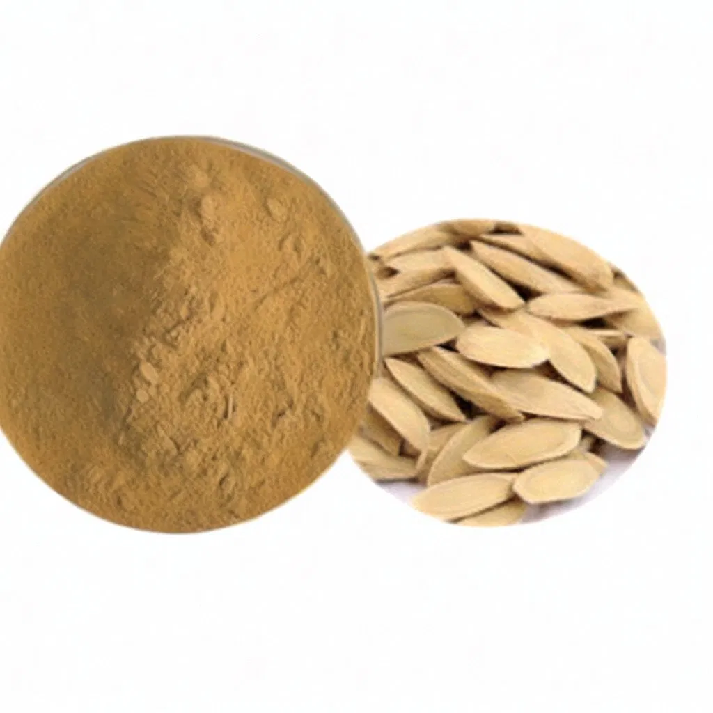 Hight Quality Astragalus Root Extract Astragalus Traditional Chinese Herbal Medicine Slices Astragalus Herbal Extracts