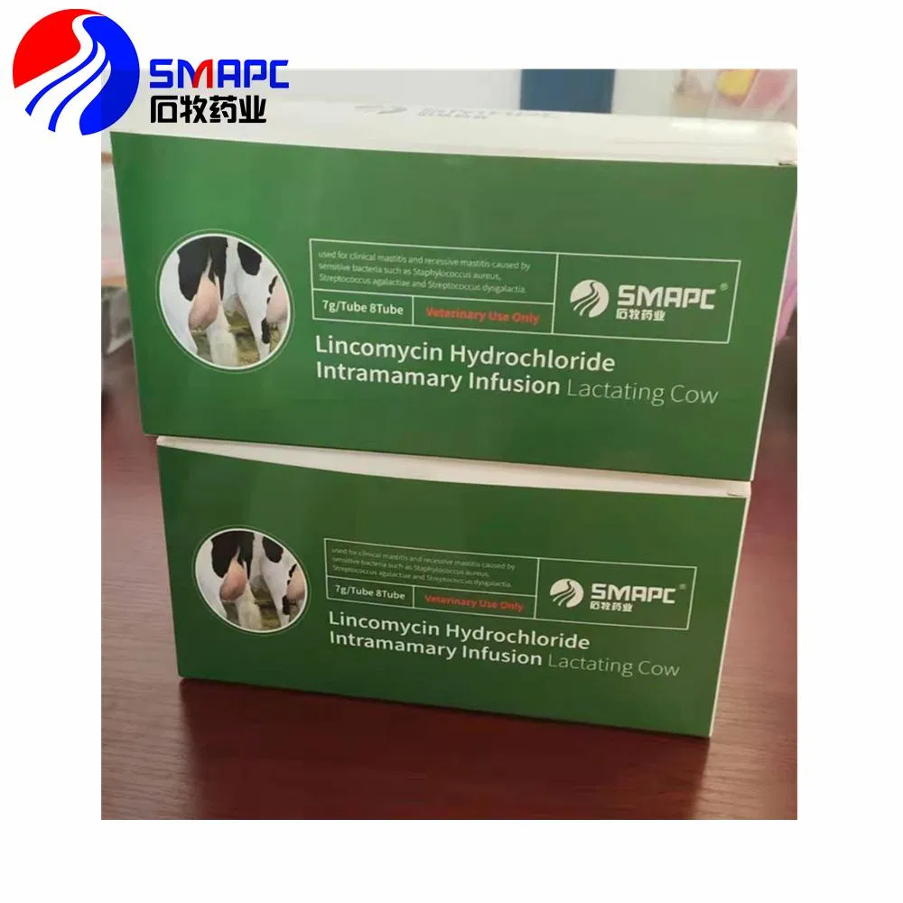 ISO Certification Lincomycin HCl Intramammary Infusion