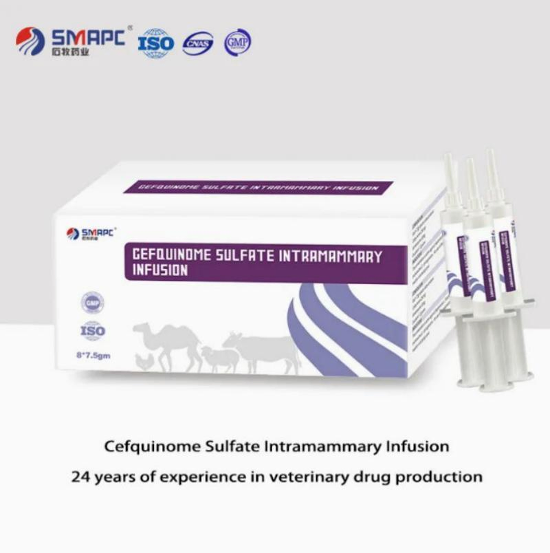 Veterinary Medicine Cefquinome Sulfate Intrauterine Infusion for Cattle Metritis and Endometritis