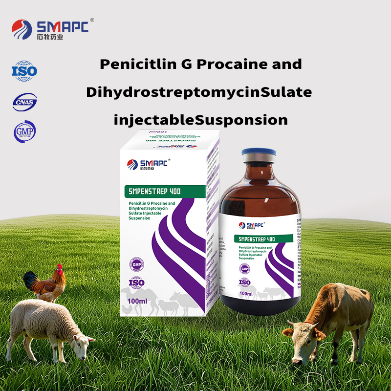 Penstrep Injectable Suspension 20: 25 by GMP ISO Manufacturer