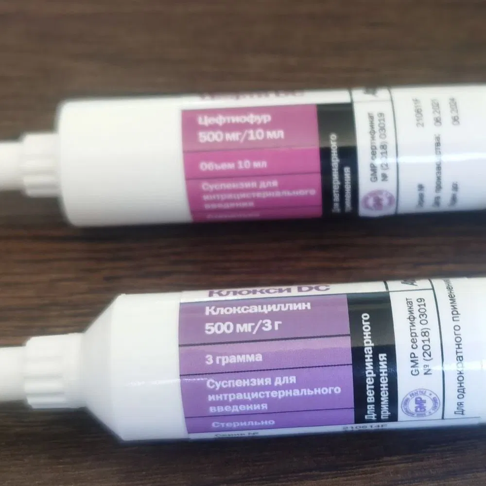 Cefquinome Sulfate Intramammary Infusion Ampicillin and Cloxacillin Intramammary Infusion