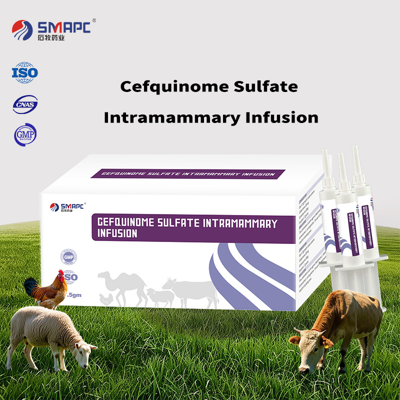 Customized Cefquinome and Gentamycin Intramammary Infusion by GMP ISO Manufacturer