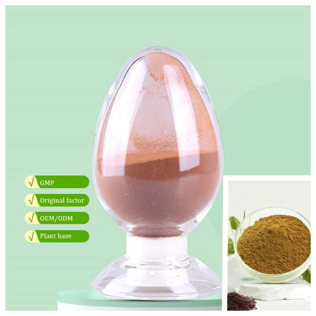 Plantago Seed Extract Herbal Plant Extract Powder Medicine Raw Material Health Care Product
