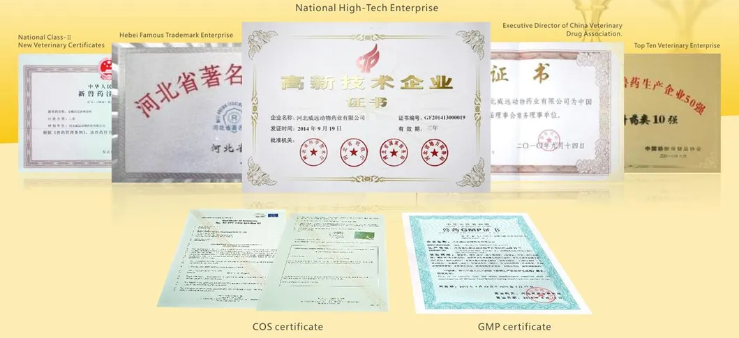 ISO Certificate
