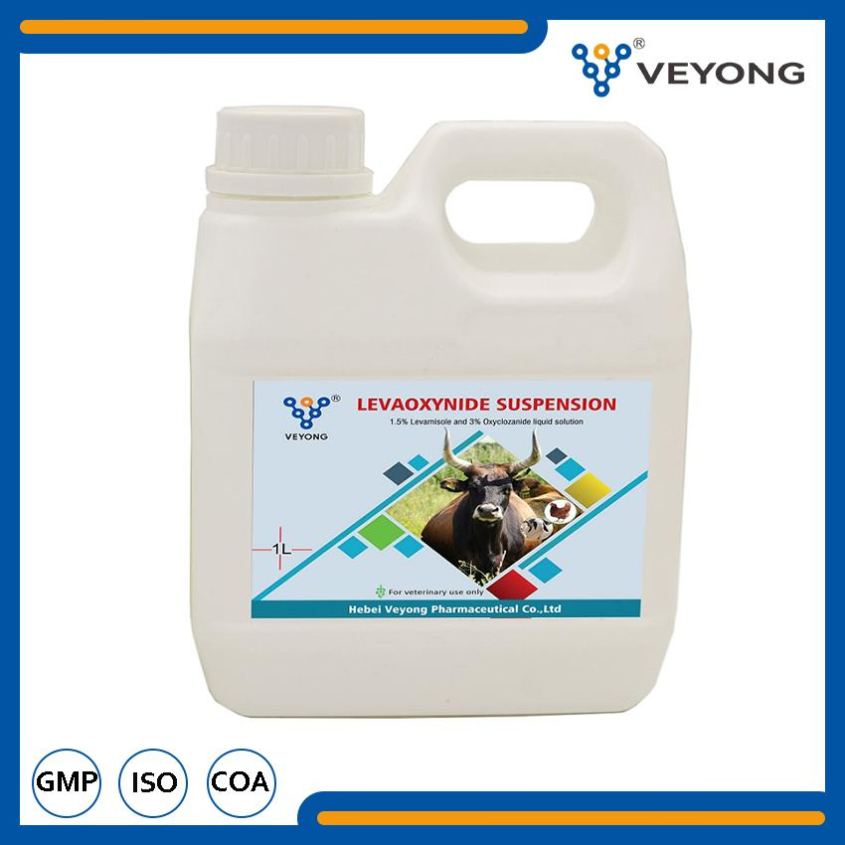 Veterinary Drugs Levamisole Hydrochloride+Oxyclozanide Oral Solution for Animal