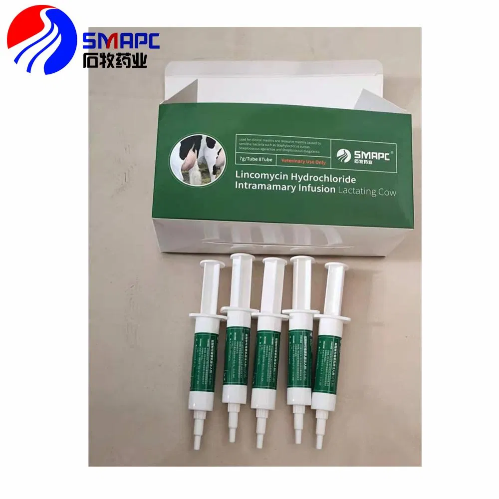 ISO Certification Lincomycin HCl Intramammary Infusion