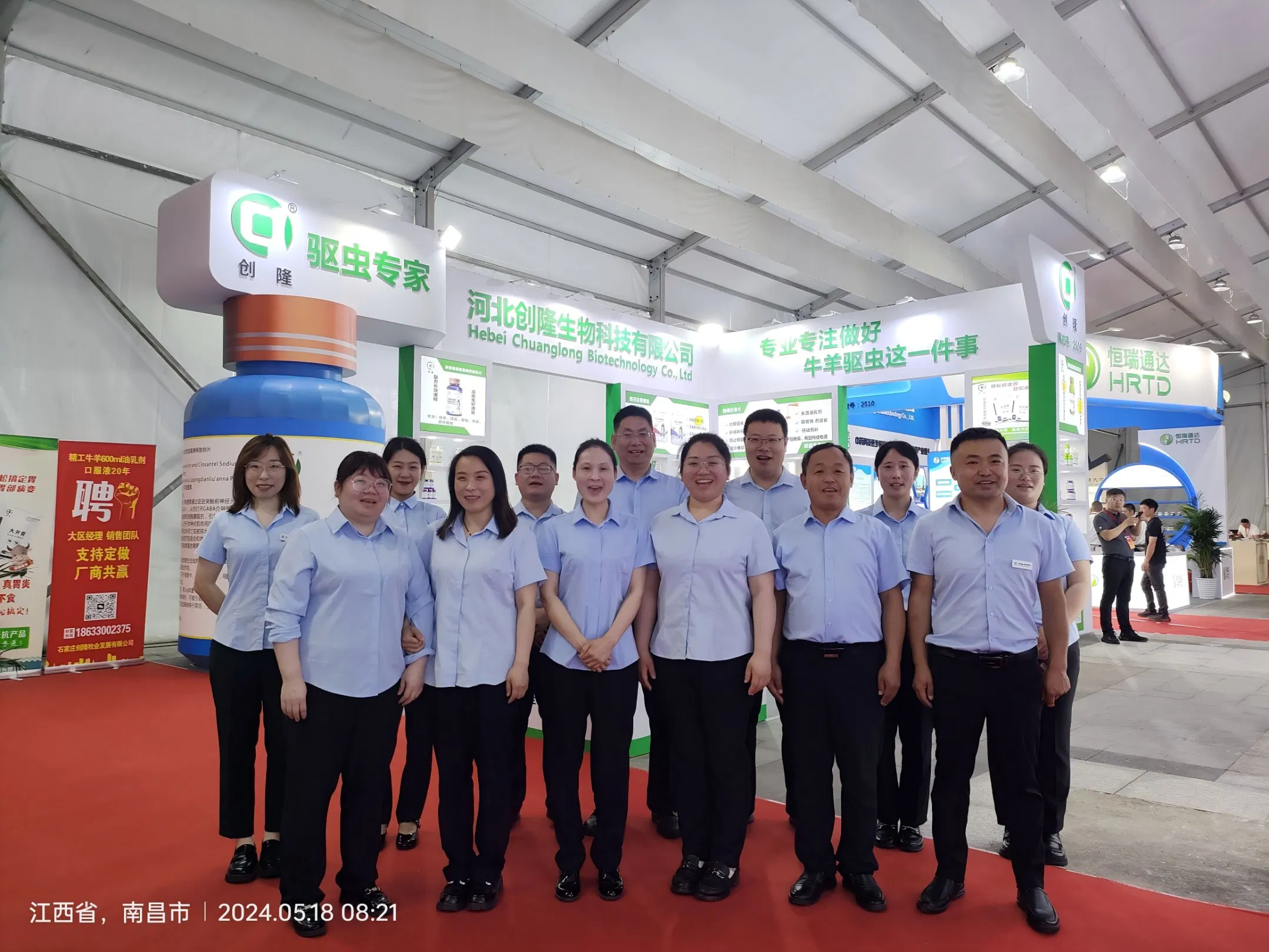 Amoxicillin Bolus Antibacterial Solution for Systemic Infections in Pets