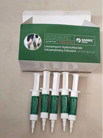 Veterinary Medicine Ampicillin and Cloxacillin Intramammary Infusion by GMP ISO Manufacturer