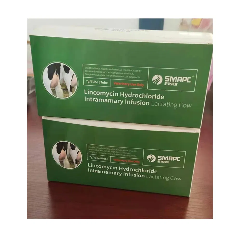 Antibiotics Lincomycin Hydrochloride Intramammary Infusion