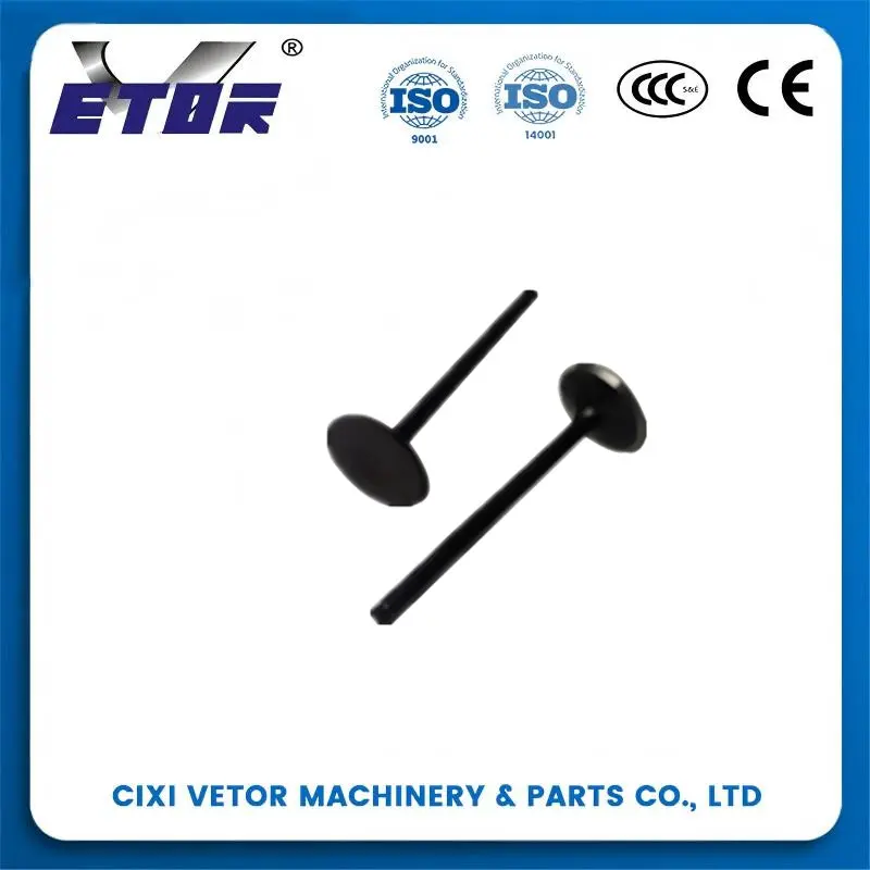 China GY6-125 motorcycle valve Manufacturers, Exporter