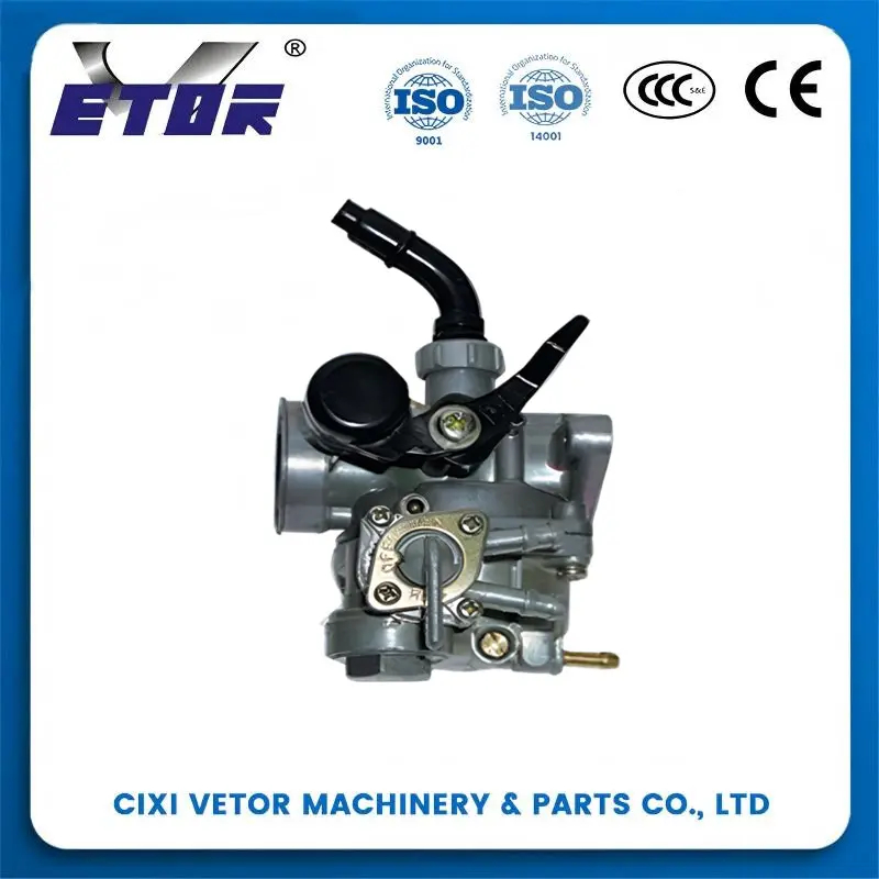 China Motorcycle Carburetor PZ19 for DY100,100CC-110CC Manufacturer, Exporter