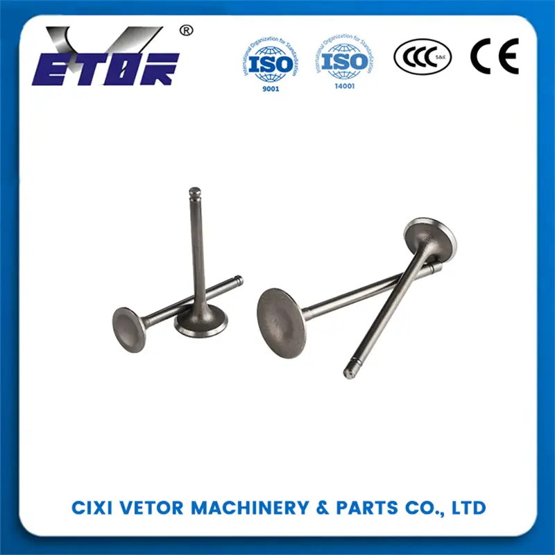 High-Quality CG125 motorcycle valve Manufacturer, Exporters