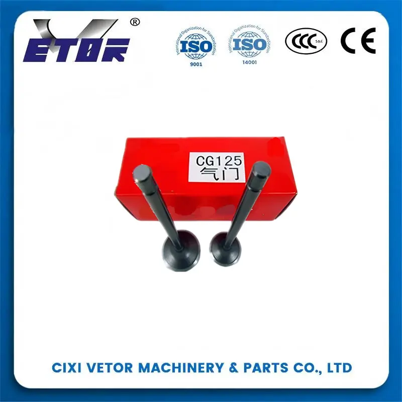 China CG-125 motorcycle valve-2 Manufacturers, Manufacturer