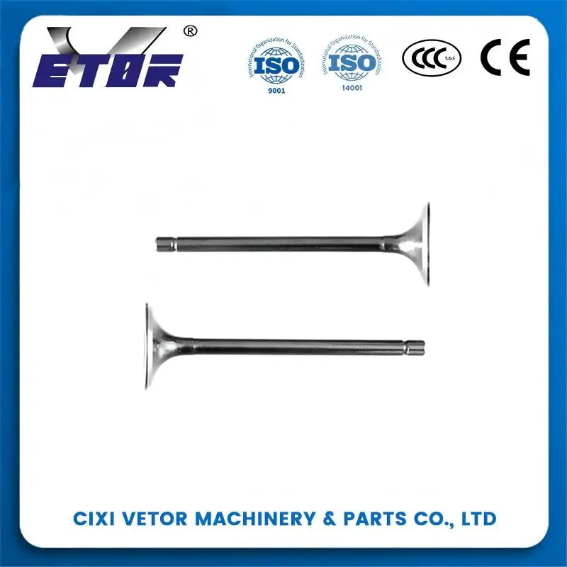 High-Quality CD70 motorcycle valve-1 Suppliers, Exporter