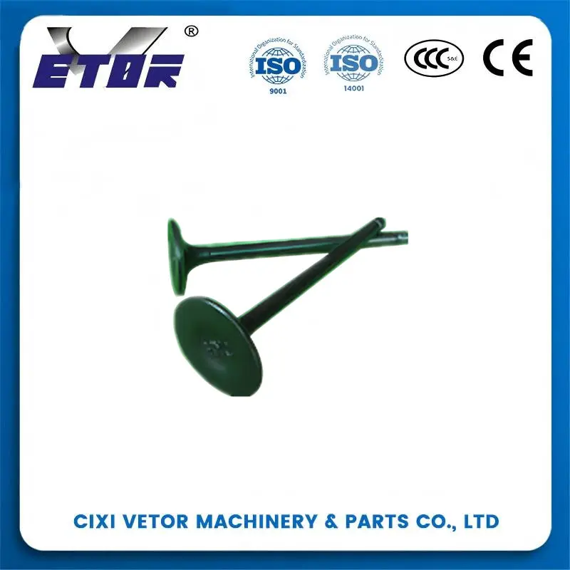 High-Quality CG-150 motorcycle valve-1-1 Manufacturers, Manufacturer