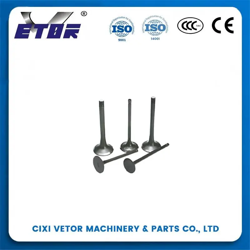 Wholesale 125 motorcycle valve Supplier, Exporters