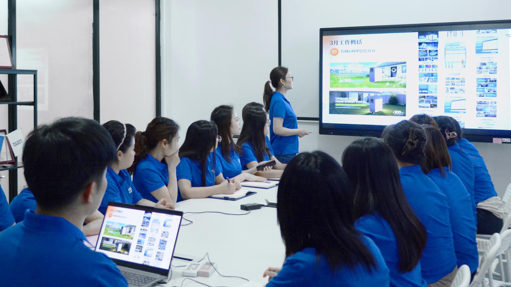 Soluções ESS personalizadas Vetsin Energy para aplicações industriais globais