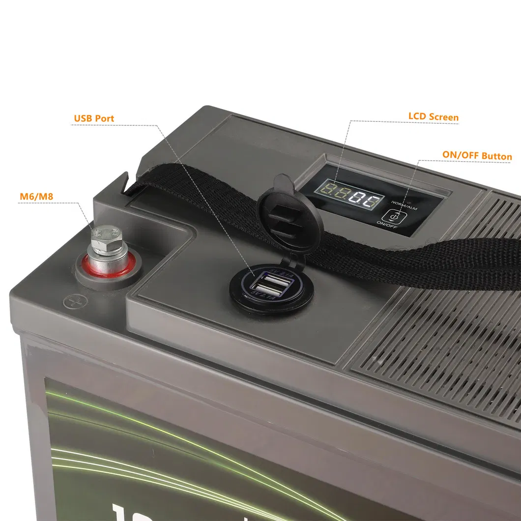 LiFePO4 Bateria Detalhes