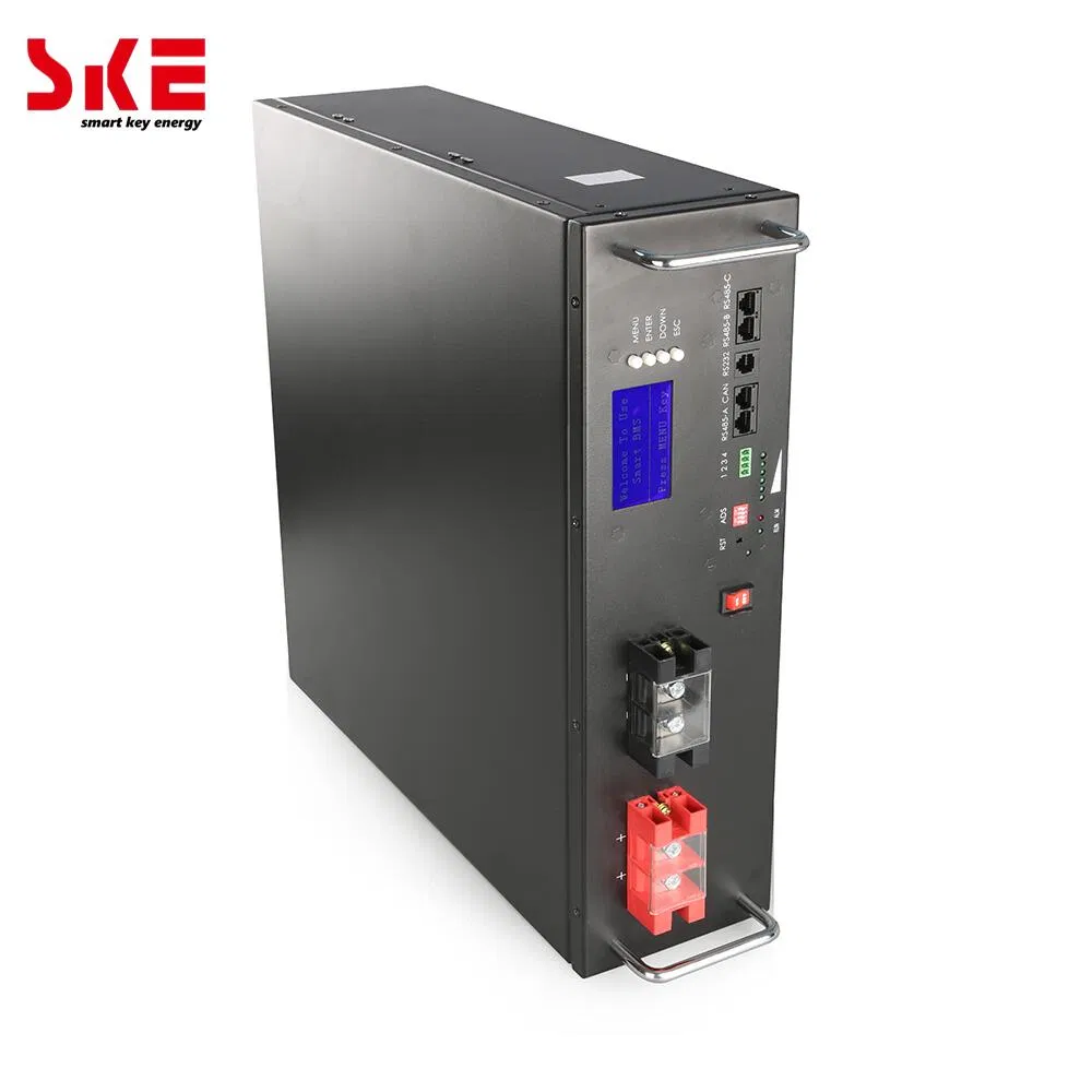 Ske Sk-RM5120 51.2V 5kwh 100ah LiFePO4 Pacote de Bateria Rack para Armazenamento de Energia Solar