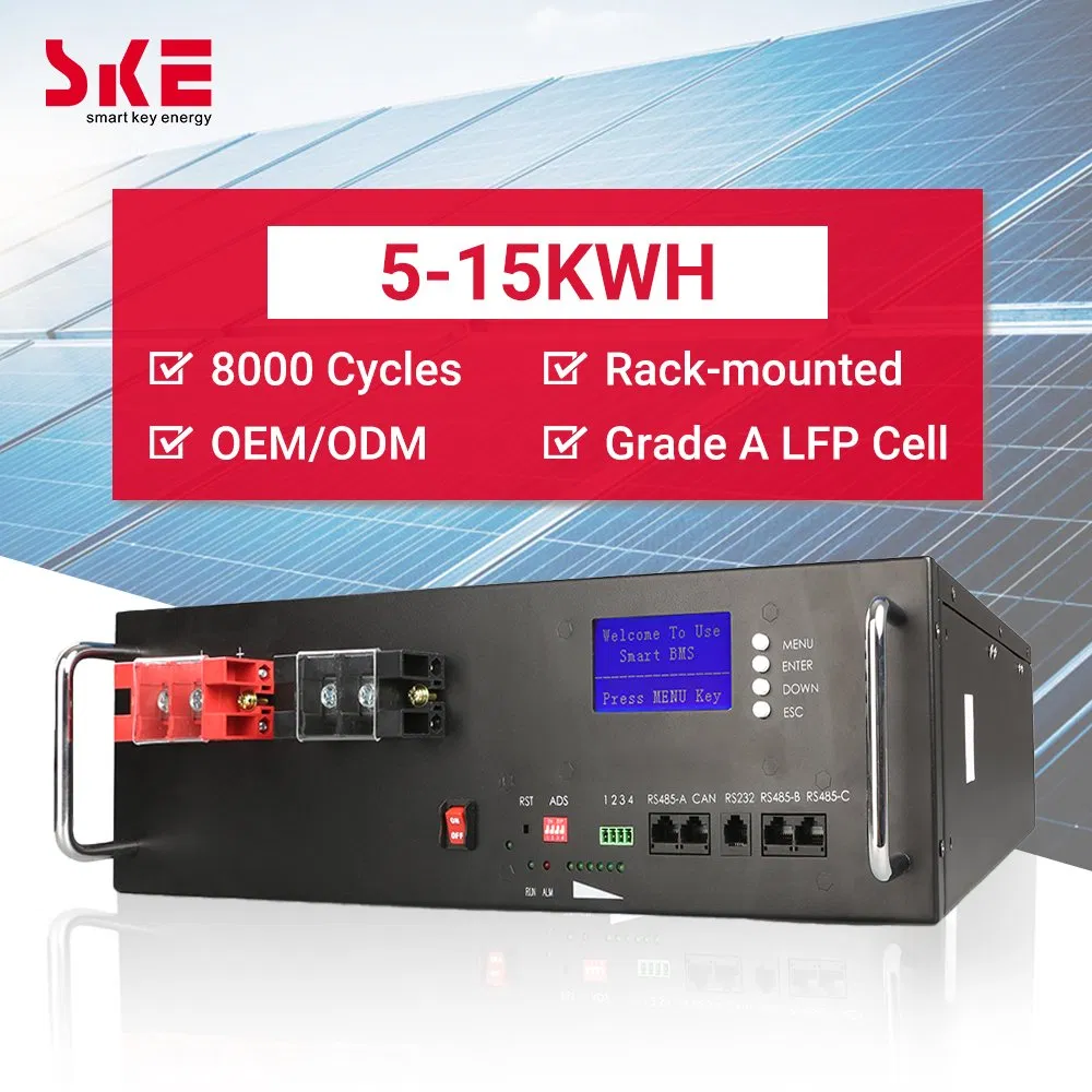 Ske Sk-RM5120 51.2V 5kwh 100ah LiFePO4 Pacote de Bateria Rack para Armazenamento de Energia Solar